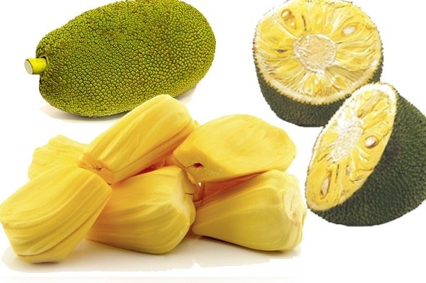 Jackfruit on a while background, whole, halved, and in pieces