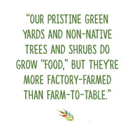 “Our pristine green yards and non-native trees and shrubs do grow “food,” but they’re more factory-farmed than farm-to-table.”