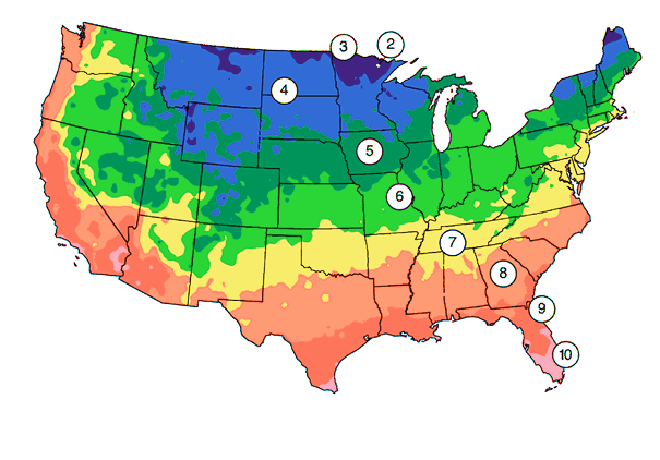 Климатическая зона Нью-Йорка. Нью Йорк природная зона. Plant Zone. Plant Hardiness Zone for Canada.