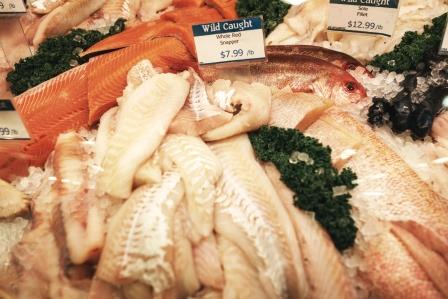 Fresh seafood, fish, shellfish
