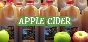 Apple Cider