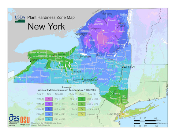 NY State USDA Plant Hardiness Zone Map